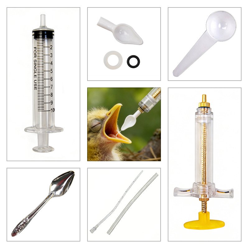 Food Grade Bird Feeder for Bab - Baby Food Youtube review and price